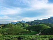 Explore Long Coc Tea Hill The Halong Bay Of The Mountainous Midlands